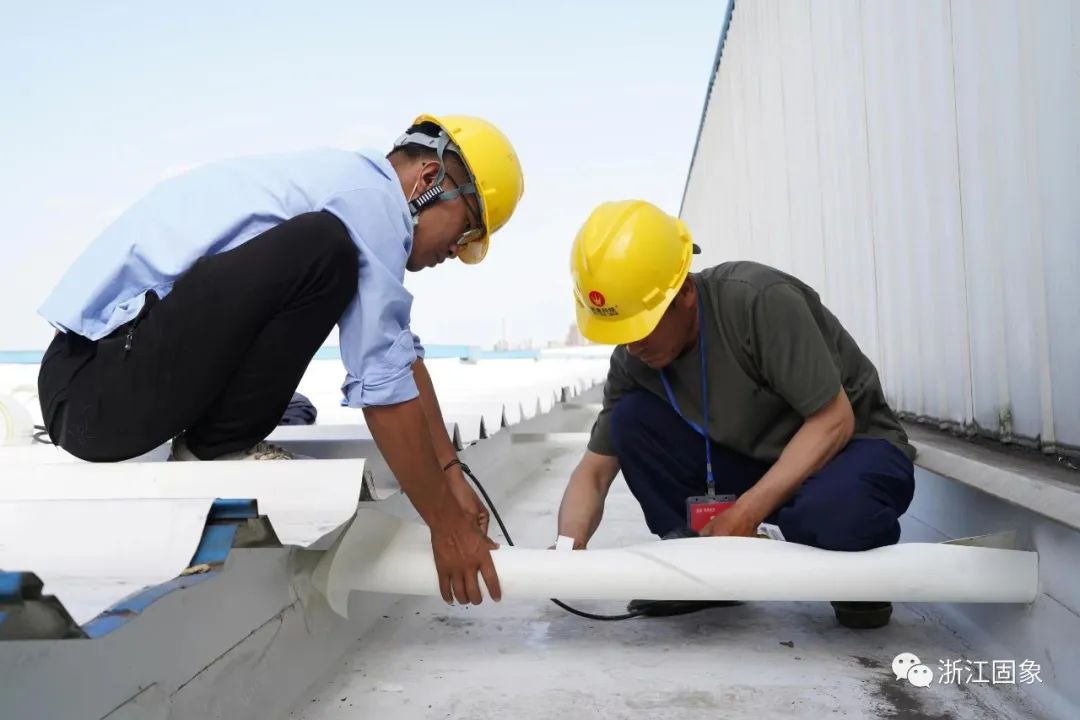 1657004401661898.jpg 640 (4).jpg